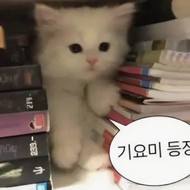 Profile image of 문지웅
