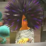 Profile image of ダウニー