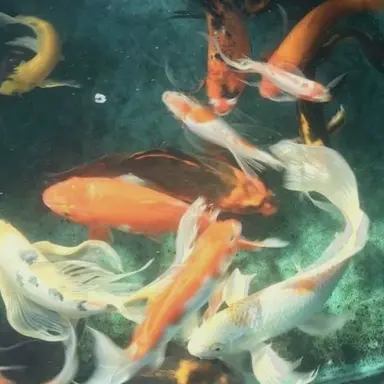 Profile image of 박덕개