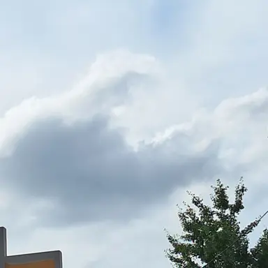 Profile image of 박나나