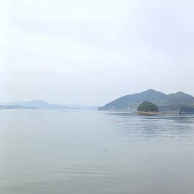 Profile image of 손님들