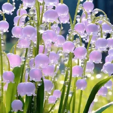 Profile image of 공룡씨