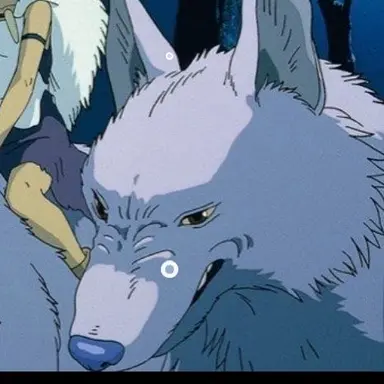 Profile image of 하이라