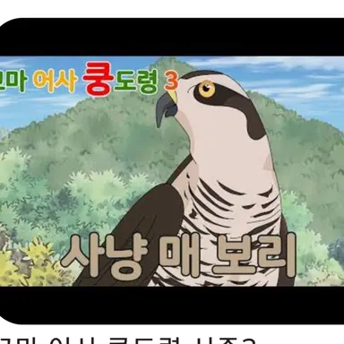 Profile image of 보리