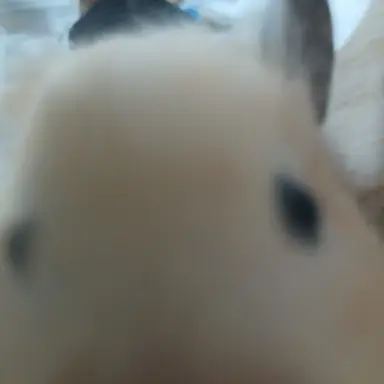Profile image of 1심쿵