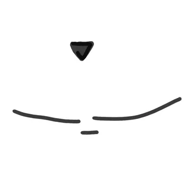 Profile image of 푸카시