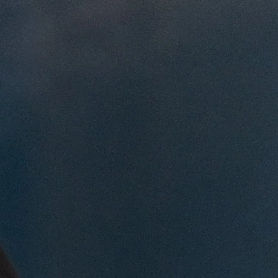 WAV7838383의 서다현