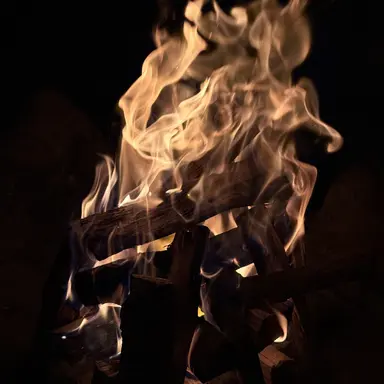 Profile image of 정경민