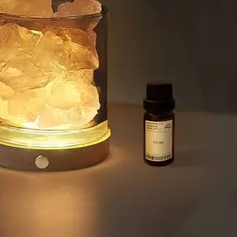 Profile image of 二口堅治