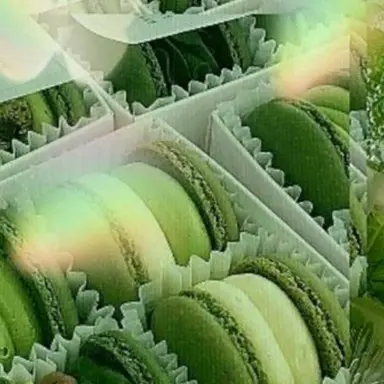 Profile image of 공룡