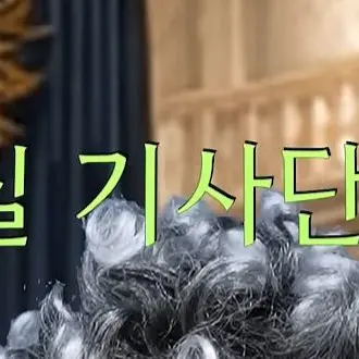 Profile image of 왕실 기사단 렌