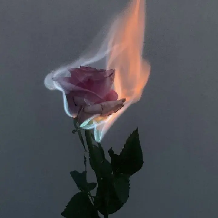 delude의 𝑏𝑦