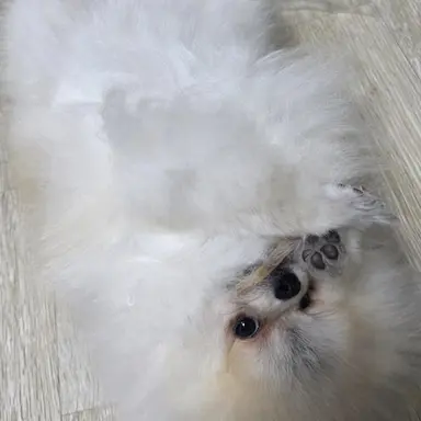 Profile image of 슈퍼잼민팀-선행-