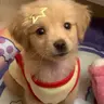 Profile image of 김대영