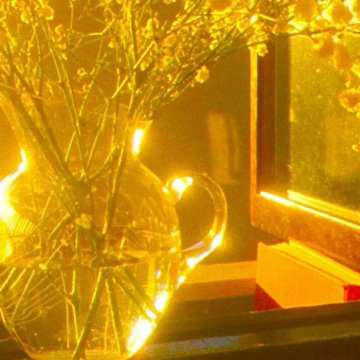 jinro0329의 로블 대학교 수인 학과