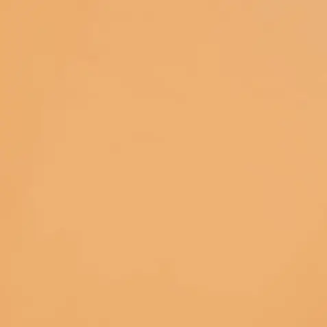 tntn의 ダイエット