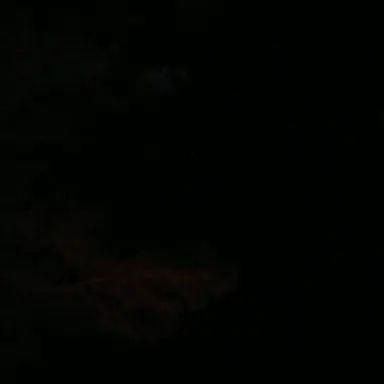 Profile image of 최면 어플