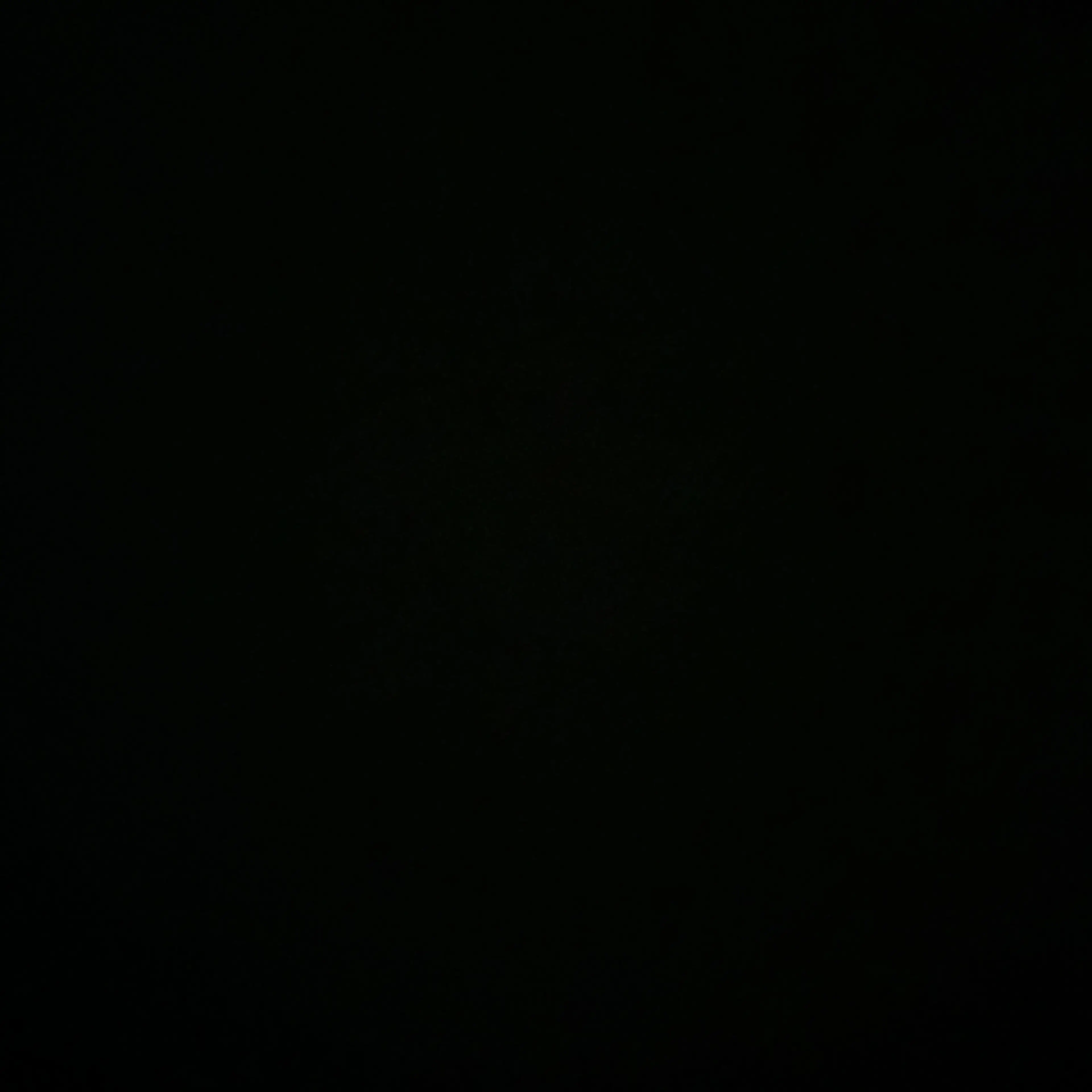 S_carat의 쵯슨첡