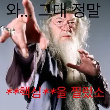 Profile image of 범인