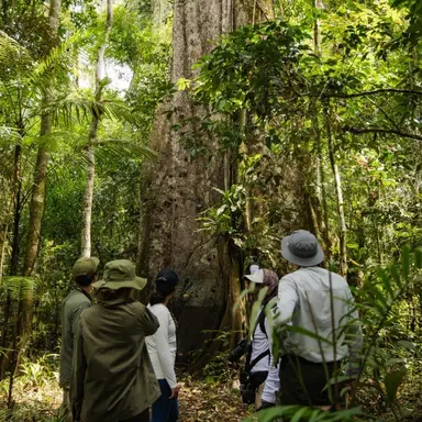 Profile image of Tourists
