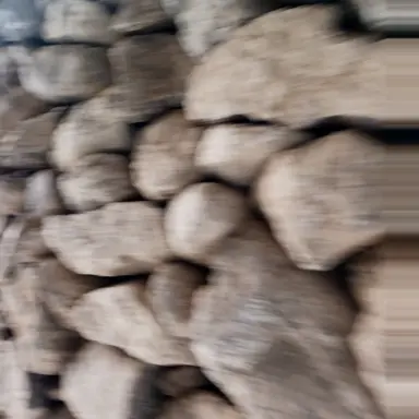 Profile image of 세모