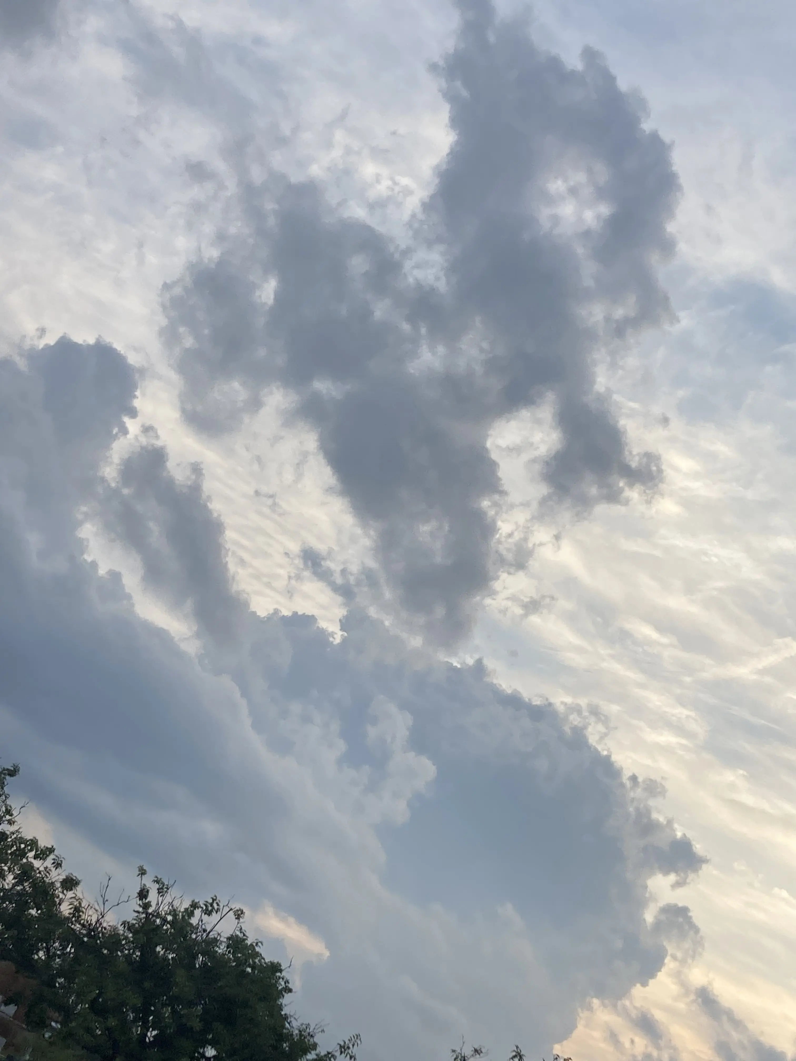 BusyPark3248의 先生分かりません！