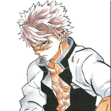 Profile image of 시나즈가와 사네미