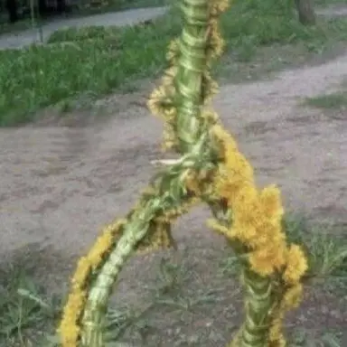 Profile image of 각별