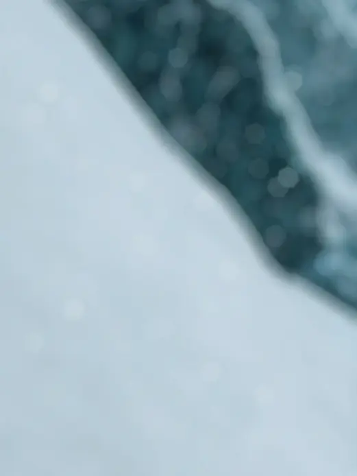 ipanjin의 賑やかなふゆごもり