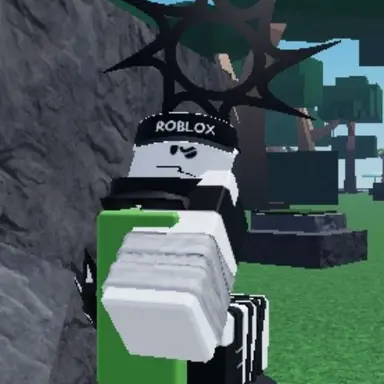 Profile image of F. P