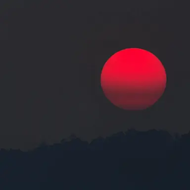 Profile image of 케이티나