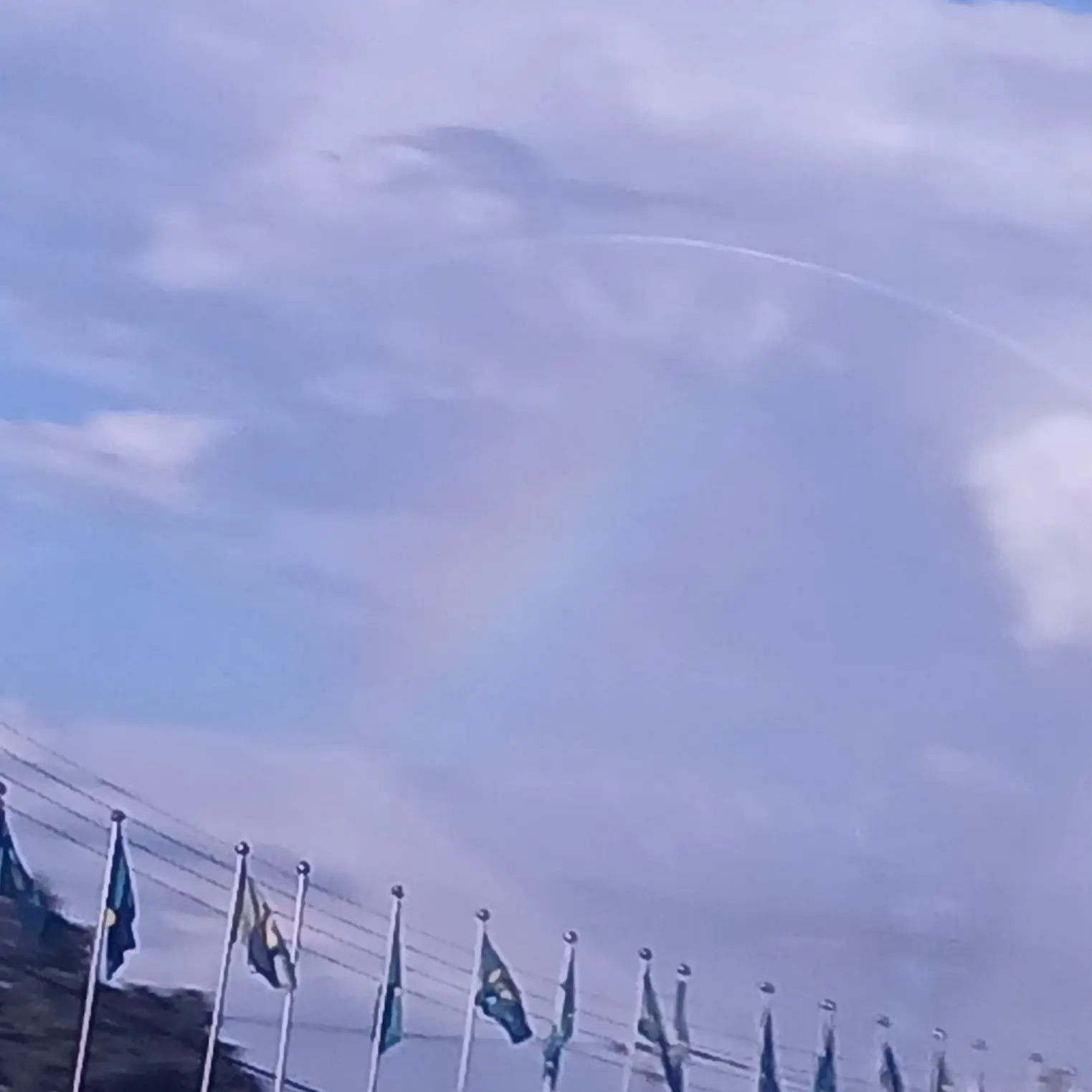 NoisySkate8612의 오징어게임2 남매4