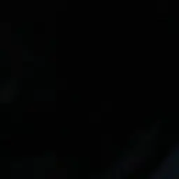 Brachioton의 조우안신