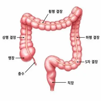 Profile image of 대장