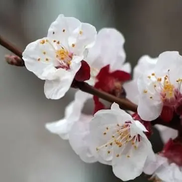 Profile image of 문