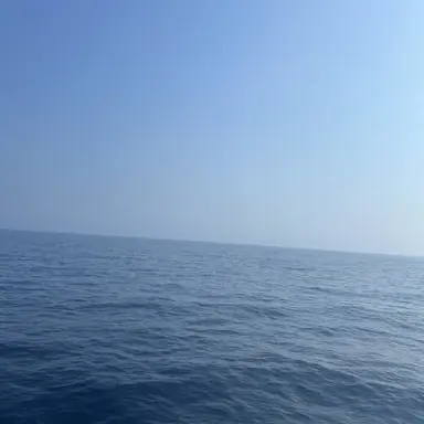 Profile image of 라더