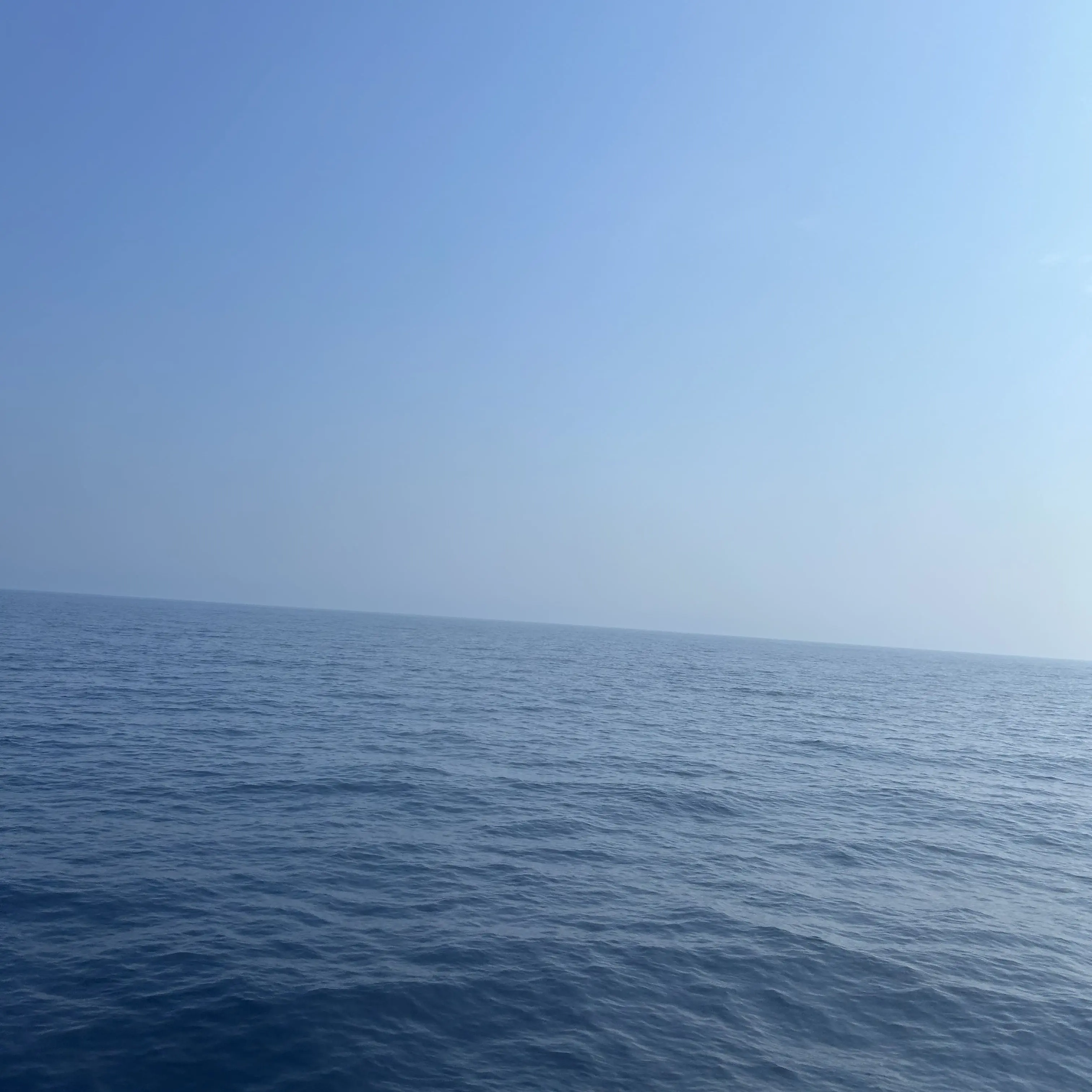 SnowyShirt0404의 대학병원