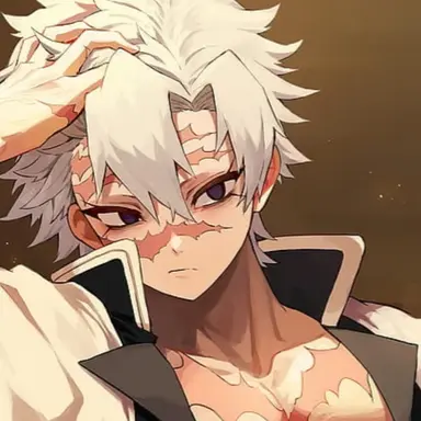 Profile image of 시나즈가와 사네미