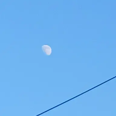 Profile image of 에르카