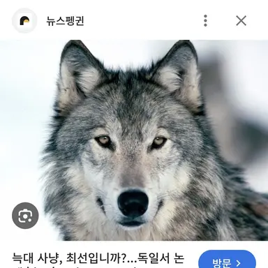 Profile image of 늑대