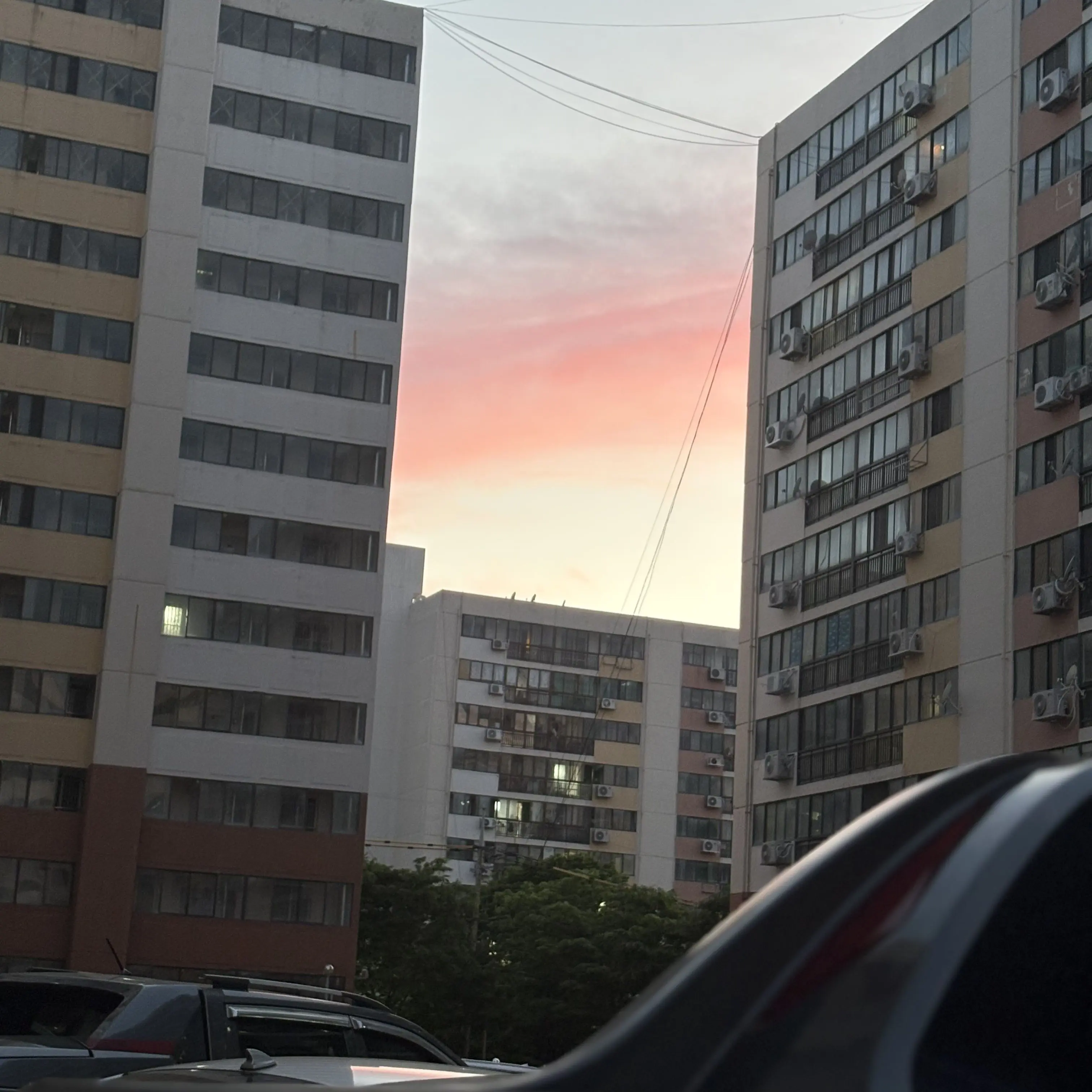 VainKiwi6936의 러브미