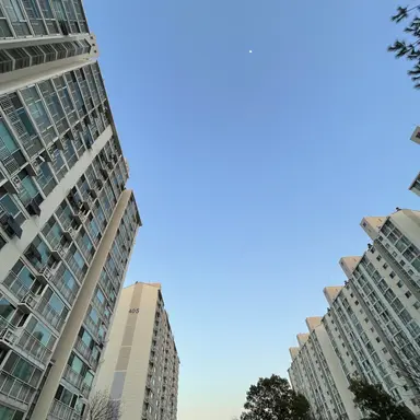 Profile image of 백지헌