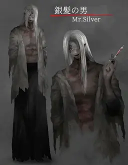 Profile image of Mr Slivair