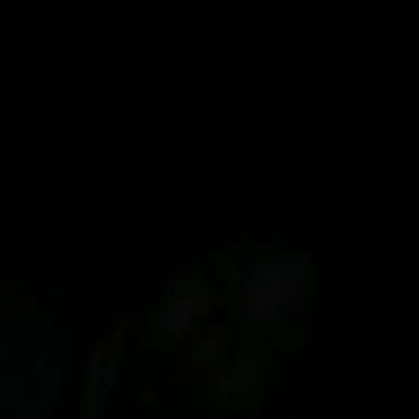 Profile image of 홍ㅈㅅ