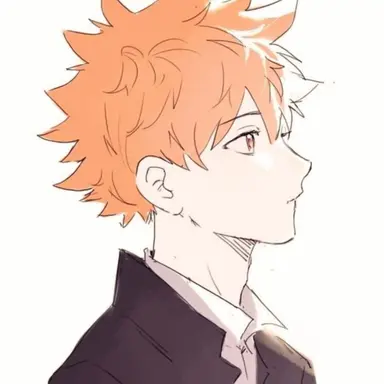 Profile image of 日向 翔陽