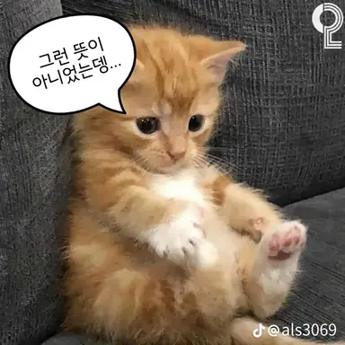 Profile image of 지연