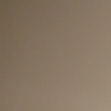 Profile image of 늑대