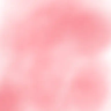 Profile image of 라더