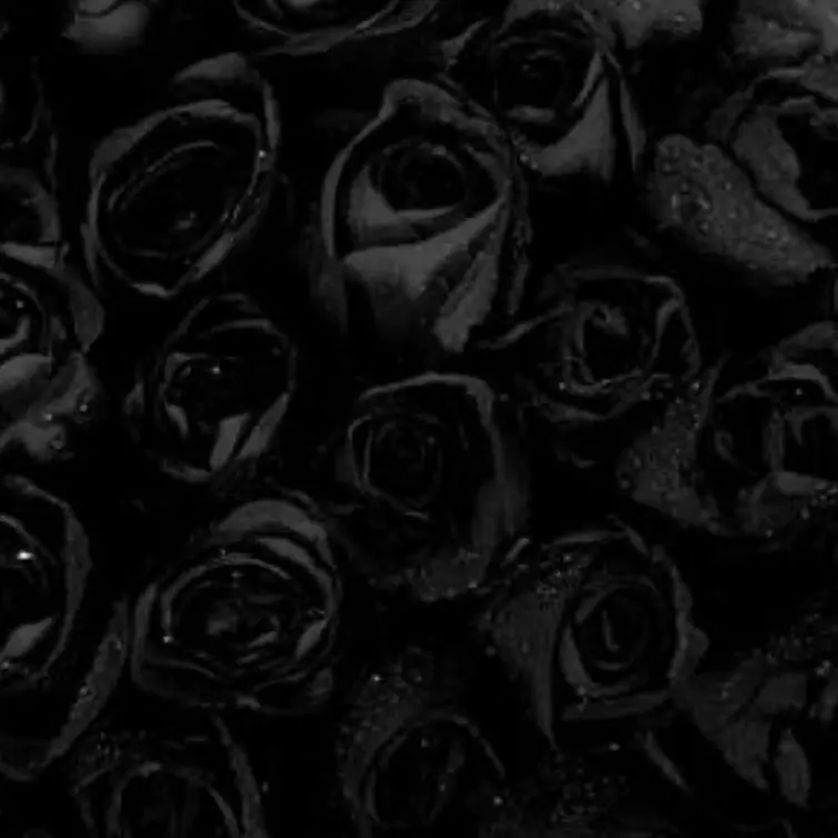 FinalSleet8590의 My last hope