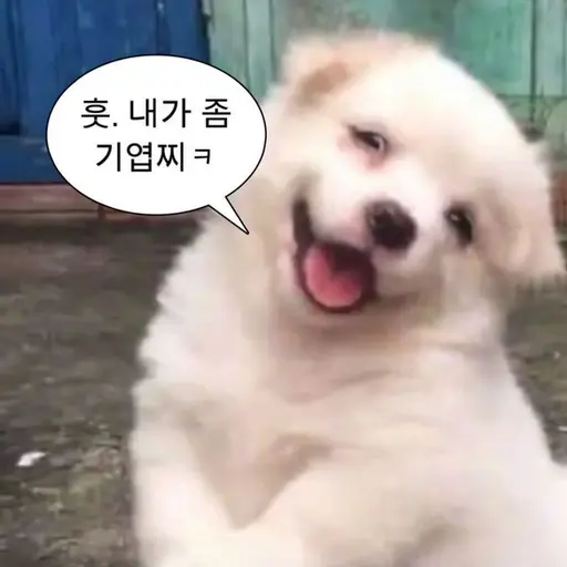 Doremino_0325의 김승민
